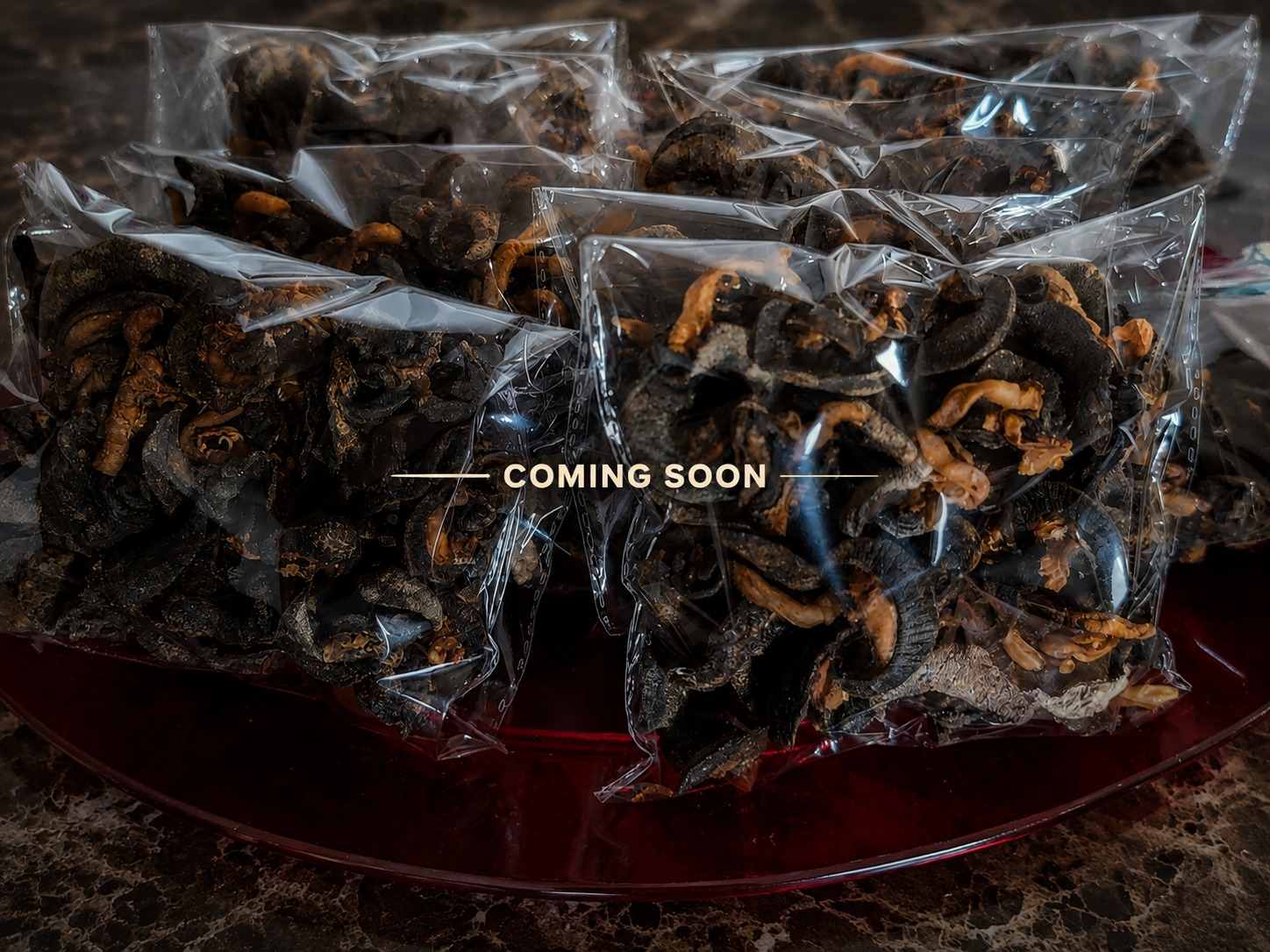 Dried Snail